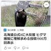 【クマイシス？！＝頻発するクマ被害……9／27－28　各地で連日クマによる人身被害　北海道公式Ｘでは捕獲に理解求める投稿が大反響】＃474