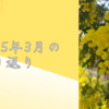 2025年3月の振り返り