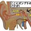  シリーズ「俺と健康」