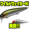 【フィッシュアロー】強波動ウェイクベイトのハイフロートモデル「ワイルドウェイカーHi」追加！