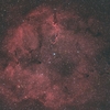 ＩＣ１３９６：ケフェウス座の散光星雲