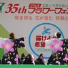 広島フラワーフェスティバル～YOSAKOIステージ