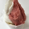 PANCIERA GELATO　(ジェラテリア・パンチエーラ)