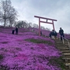 三度目の正直