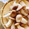 お腹も心も満たす「ふぞろいのエリンギ」がすごい