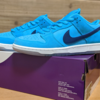 Nike SB Dunk Low Pro Blue Furyを購入