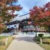 【京都】『智積院』に紅葉を見に行ってきました。 女子旅 京都紅葉