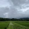 2024/07/16 火曜日　梅雨時の片付け