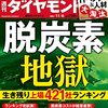 週刊ダイヤモンド 2021年11月06日号　脱炭素地獄／不要？生き残る？ ITベンダー＆人材 大淘汰