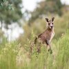 考え方のプロセスを見つめ直す考え方　【前提を綺麗にリセットする】