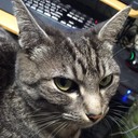 主に写真。
