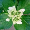 小さかった私へ㉒ 小学生編