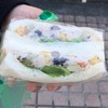 ほうの木｜伊勢市｜心ときめく！カラフルサンドイッチで始まる、優しい朝の物語