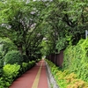 大丈夫かな。。。