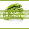 万願寺とうがらしは辛い？甘い？気になる味や辛さの理由を徹底解説！