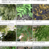 やってみた：いきものコレクションアプリ「バイオーム（Biome）」