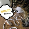テレビばかり観てないで！😾