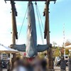 【大阪・USJ旅行 2日目後半】エクスプレスパス使用。コナン、ジョーズ、ワンダーランドで遊ぶ。