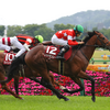 土曜競馬　展望