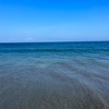 自転車とビーチコーミング🐚🏝🌊