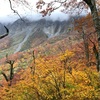 30年ぶりの大山登山。