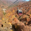 群馬・谷川岳の紅葉と日本一のモグラ駅