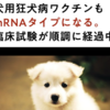 狂犬病ワクチンは、法律により義務化されている（生後９１日以上の犬は、毎年１回接種）そこにmRNAワクチンが投入されることになる。人も犬も、遺伝子治療でいろいろと改変されていく。