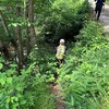 沢登り　木地屋渓谷