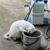 青島ビール工場で放尿、、、