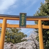桜の京都をてくてく12km　その2 　