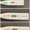 ワクチン接種　一日経過　ほぼ副反応なし