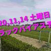 2020,11,14 土曜日 トラックバイアス予想 (東京競馬場、阪神競馬場、福島競馬場)