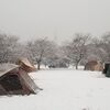 千葉で雪中キャンプ！前編　＜成田ゆめ牧場キャンプ場＞