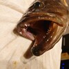 2023年の釣りの目標