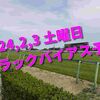 2024,2,3 土曜日 トラックバイアス予想 (東京競馬場、京都競馬場、小倉競馬場)