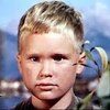 ブランドン・デ・ワイルドを覚えていますか