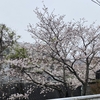 まずは3年