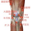 自転車に多いケガ（膝痛編）その２