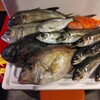 本日の漁港直送の魚たち！