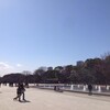 実用品としてのほとけさま～飛騨の円空＠東京国立博物館