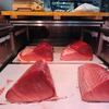 脂本マグロ争奪戦・・・