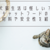 犬猫生活は怪しい？キャットフードの原材料や安全性を紹介