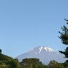 今朝の富士山