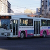 鹿児島交通 953