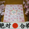 今日から30日間、社会福祉士・精神保健福祉士試験合格発表日までの不安を和らげるブログです。
