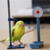 身長が6cm縮んだ