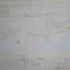 恐竜ではない生き物１　恐竜解説１
