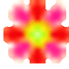 桜の開花宣言・・・。