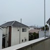 2025/02/02(Sun)