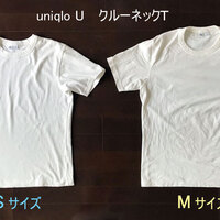 ユニクロと無印良品の透けない白tシャツ徹底比較 18年最新版 アーキペラゴを探して ユニクロと無印良品の透けない白tシャツ徹底比較 18年最新版 アーキペラゴを探して